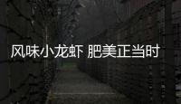 风味小龙虾 肥美正当时！珠海这家店赢得食客“正宗”认证