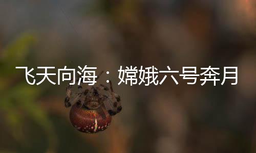 号奔海试整体比较平坦
