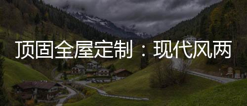 现代没有夸张的风两房两色彩