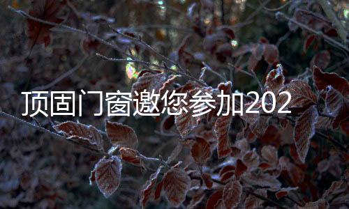 顶固经过十几年的发展