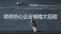 顺德热心企业捐赠太阳能路灯，用爱心照亮永泰小学校园