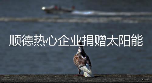 小学校园尽快安装好路灯