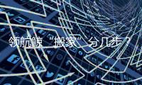 领航鲸“搬家”分几步？为啥要抹凡士林	？
