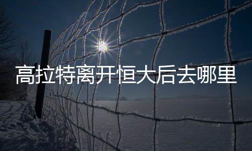高拉飞回中国亲自和恒大谈判