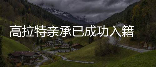 据巴西媒体《环球体育》报道