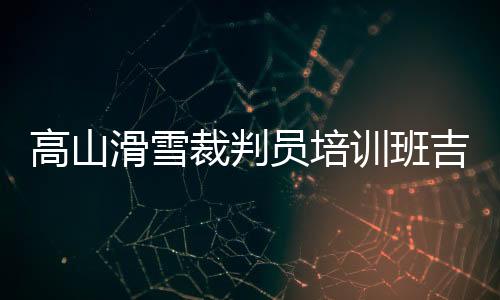 提高判罚准确性和公正性