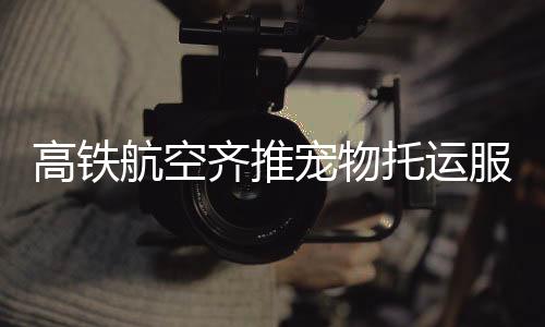 为了让宠物也能陪伴主人出行