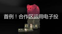 首例！合作区运用电子投票系统完成物业选聘