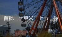 首批“土豆米”上市	，你吃过吗？