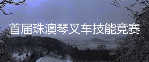 展现了高超的车技叉车技艺