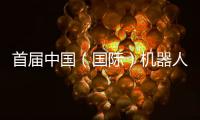 首届中国（国际）机器人辩论大赛启幕，团队报名通道开放