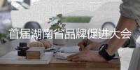 首届湖南省品牌促进大会召开，三一在多项评选中独占鳌头