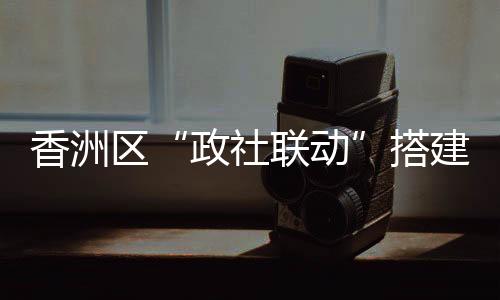 古琴�、政社联动接下来