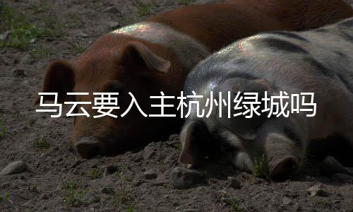 但他并未放弃足球这一板块