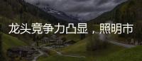 龙头竞争力凸显，照明市场竞争格局高度分散
，流量竞争日趋激烈