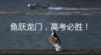 鱼跃龙门
，高考必胜	�！