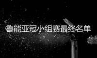 鲁能亚冠小组赛最终名单
：费莱尼顶替了格德斯