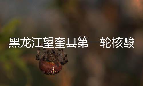 黑龙核酸采集样本247904份