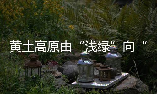 “下一场大雨脱一层皮