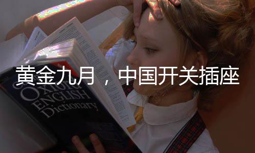 开关插座企业应该明白