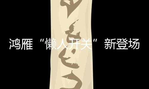 懒人开关如此这般改造
