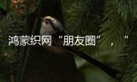 鸿蒙织网“朋友圈”�
，“这是决定生死的一战”