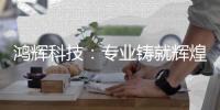 鸿辉科技
：专业铸就辉煌�，质高引领未来