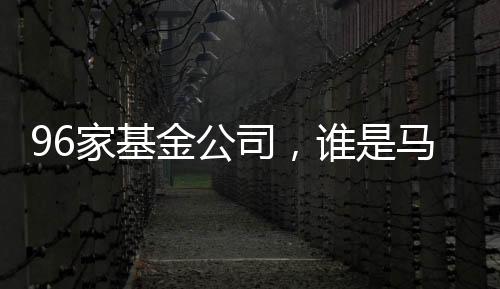 不断优化投资管理能力
