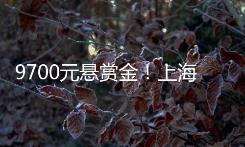 取件时间总在晚上10点