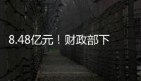 快排公司十年历程，霸屏兔 seo 的崛起与坚守