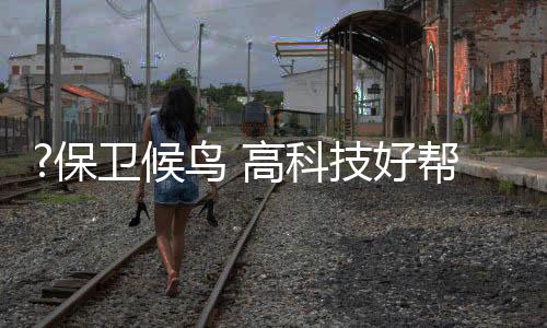 保卫帮手区）、候鸟防止盗猎