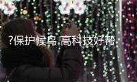 ?保护候鸟 高科技好帮手