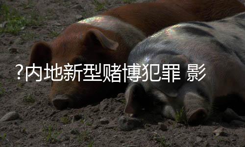 影响相较于传统犯罪