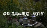 @珠海集成电路、软件领域相关企业，这份AI技术供应表请填报