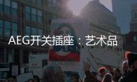 AEG开关插座
：艺术品位奠定高端定位