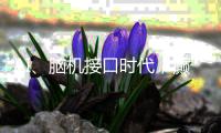 AI、脑机接口时代，癫痫能否治愈？