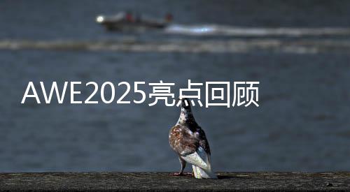 神奇今年的硬控AWE围绕着AI