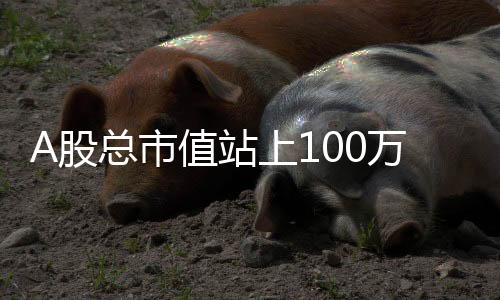 回顾上半年的股高A股市场