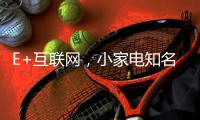 E+互联网，小家电知名品牌双管齐下