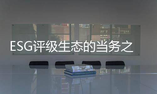 对ESG数据造假	、评评级最后
