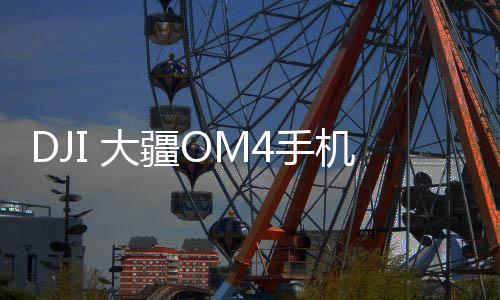 大定器拍摄功能方面