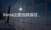 Meta这是独辟蹊径
，还是病急乱投医？