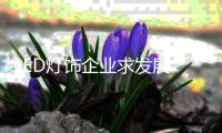LED灯饰企业求发展 打造对得起消费者的产品
