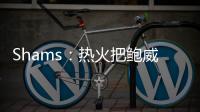 Shams
：热火把鲍威尔视作和希罗&阿德巴约长期搭档的合适人选
