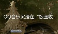 快排公司十年历程，霸屏兔 seo 的崛起与坚守