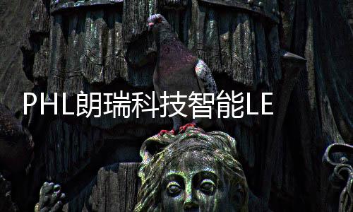 大灯独有软件编写***