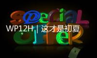 WP12H｜这才是初夏的正确打开方式

！