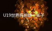 U19世界杯前瞻：张子宇缺席3中锋最高1.95米 实力榜第七仍能冲8强