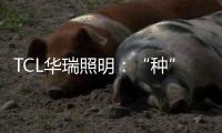 TCL华瑞照明：“种”一片翠绿，让生活和工作更添生机