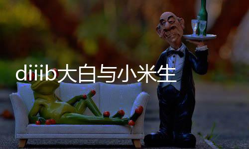 正式智大白团队十分出色